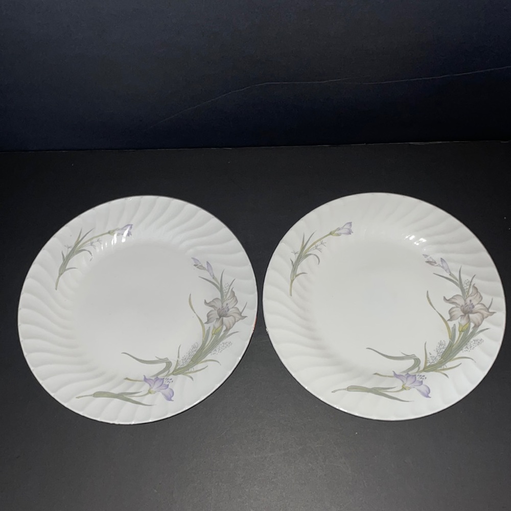 2 Dinner Plates Purple Grey Flowers Silver Rim Dinnerware China 10.5” Vintage